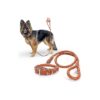 Quality Genuine Leather Dog Leash and Adjustable Collar Set Brown 6ft