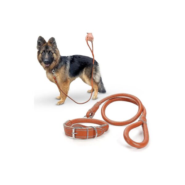 Quality Genuine Leather Dog Leash and Adjustable Collar Set Brown 6ft