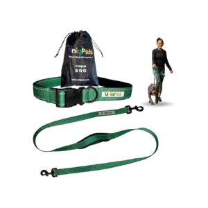 Quality Hands-Free Leash for Small to Large Dogs - 5ft Long, Adjustable Waist Belt