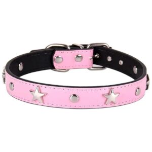 Quality Leather Dog Collar with Adjustable Length for Puppy and Small Medium Size Dogs