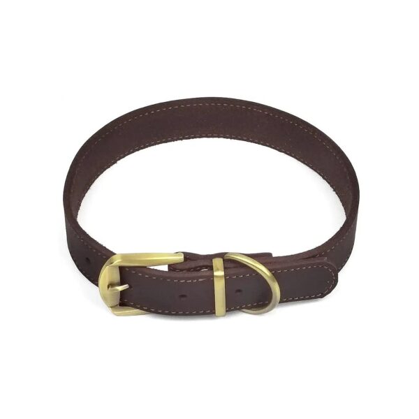 Quality Leather Dog Collar with Brass Hardware and Adjustable D Ring for Large Dogs