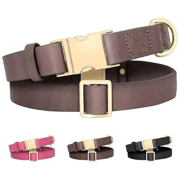 Quality Leather Dog Collar with D-Ring and Buckle, Durable and Comfortable for Daily Use