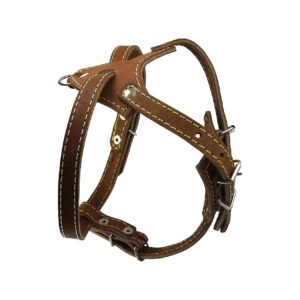 Quality Leather Dog Harness with Adjustable Straps Chest 5-20 Inches