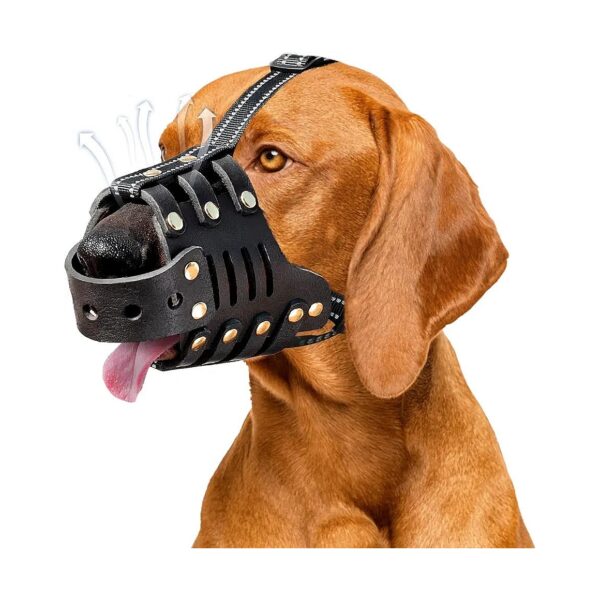 Quality Leather Dog Muzzle for Large Dogs Long Lasting and Durable