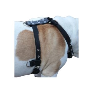 Quality Leather Dog Walking Harness with Adjustable Straps 25"-32" Chest Black