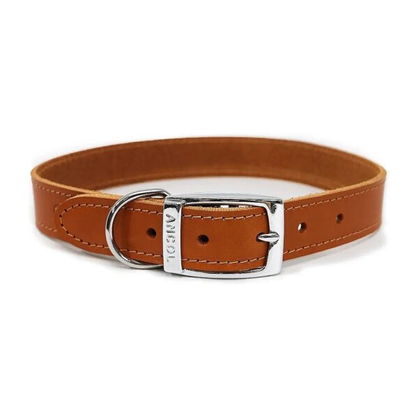 Quality Leather Tan Dog Collar 20-26cm Size 1 for Fashion