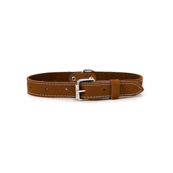 Quality Luxury Dog Collar Made in USA with Soft Leather and Buckle Closure