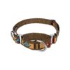 Quality Martingale Dog Collar with Native Arizona Design and Nickel Hardware