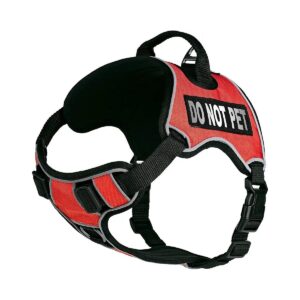 Quality No-Pull Dog Harness with Reflective Patches and Black Hardware Accents