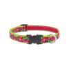 Quality Nylon Dog Collar 3/4 Wide With Petunias Floral Pattern