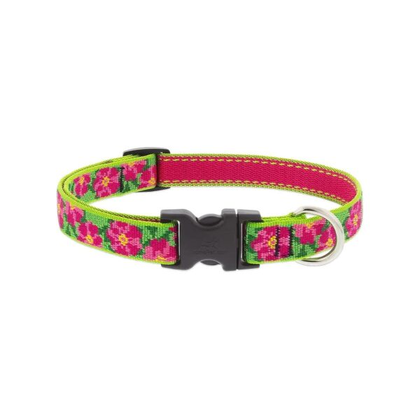 Quality Nylon Dog Collar 3/4 Wide With Petunias Floral Pattern