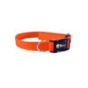 Quality Nylon Webbing Dog Collar with Vibrant Orange Color and Comfort Design