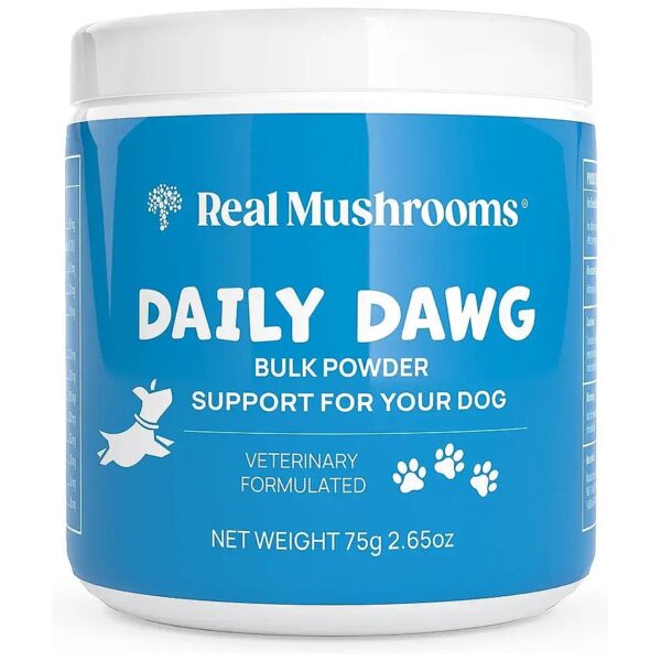 Quality Organic Mushroom Extract Powder for Canine Vitamins and Supplements