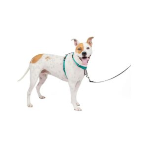 Quality PetSafe No-Pull Medium Dog Harness for Walking and Traveling