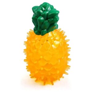 Quality Pineapple TPR Material Dog Chew Toy Teeth Cleaning and Training