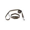 Quality Polyester Martingale Dog Collar and Leash Set with Realistic Leopard Print