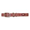 Quality Red Brick Nylon Dog Collar with Nylon Webbing and Brushed Hardware Finish