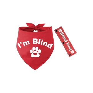 Quality Red Pet Bandana and Leash Wrap Set for Dog Lovers