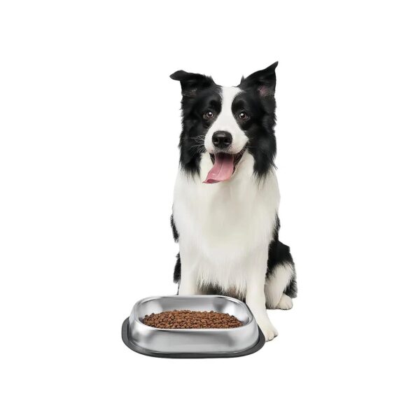 Quality Stainless Steel Dog Food and Water Bowls for Small and Medium Sized Pets