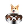 Quality Stainless Steel Slow Feeder Dog Bowl for Small and Medium Sized Dogs