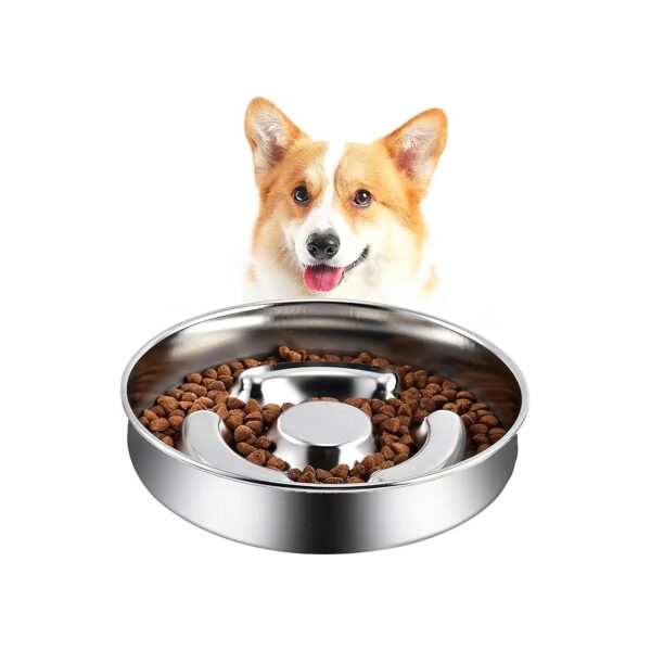 Quality Stainless Steel Slow Feeder Dog Bowl for Small and Medium Sized Dogs