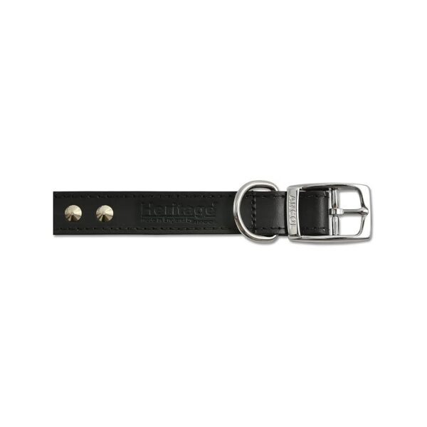 Quality Studded Leather Buckle Collar Black 28-36cm Size 3