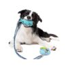 Quality Suction Cup Dog Toys for Small Medium Dogs Interactive Stimulation