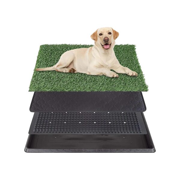 Quality Synthetic Turf Dog Grass Pad with Uniform Yarn for Puppies and Medium-Sized Dogs