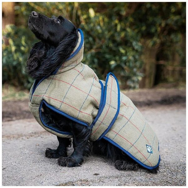 Quality Tweed Dog Coat with Chest Protection for Small Breeds