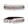 Quality White Dog Collar with Rhinestones and Conchos for Medium to XL Breeds