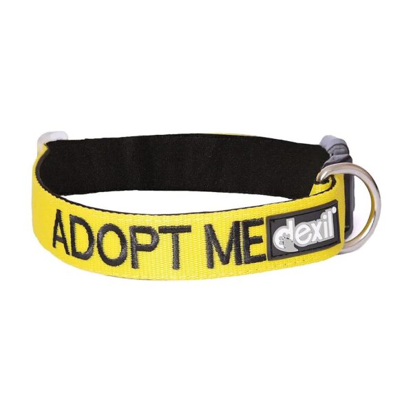 Quality Yellow Durable Buckle Dog Collar for Wide Variety of Neck Sizes