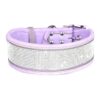 Quality Zinc Alloy Metal Buckle for Small Medium & Large Dogs