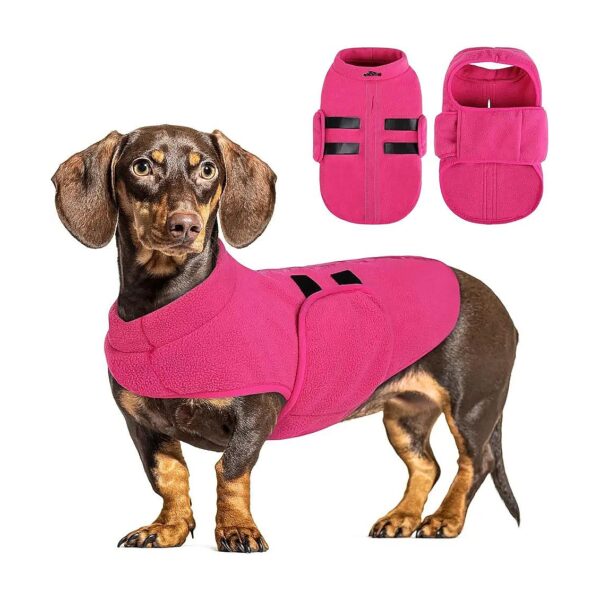 Queenmore Dog Sweater for Small Dogs and Cats with Soft Fleece and Comfortable Fit