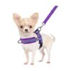 Quick-Fit No Pull Harness with Front Clip and Reflective Stripes for Small Dogs