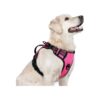 Quick-On Dog Harness for Large Dogs with 3 buckles and 2 leash clips for smooth walks