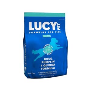 Quinoa Duck Pumpkin Dry Dog Food for All Life Stages Digestive Health