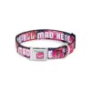 RE ALL MAD HERE Dog Collar with Seatbelt Buckle and Transparent Cheshire Cat Design