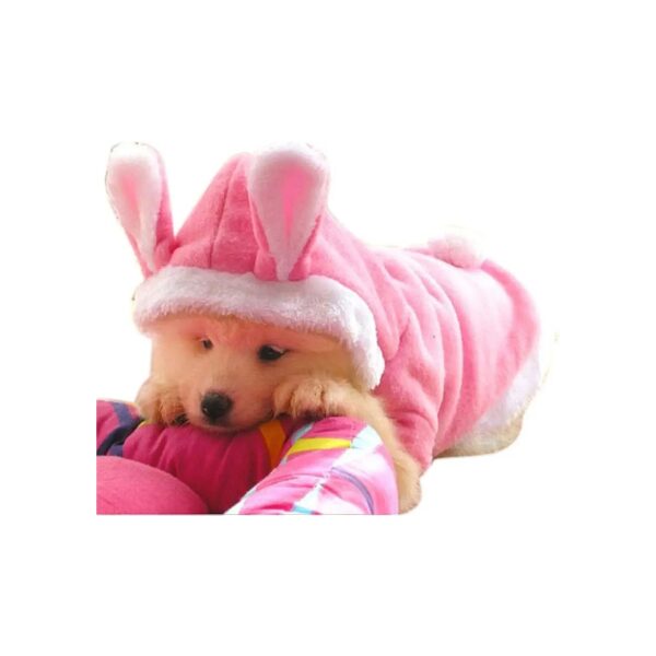 Rabbit Ear Dog Hoodie Coat for Small Dogs and Cats XS Size Soft and Fluffy