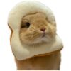 Rabbit Skin Protection Collar with Adjustable Soft Cotton Fabric and Comfortable Closure