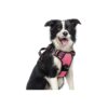 Rabbitgoo Dog Harness with Adjustable Straps and Soft Padded Chest and Neck Straps