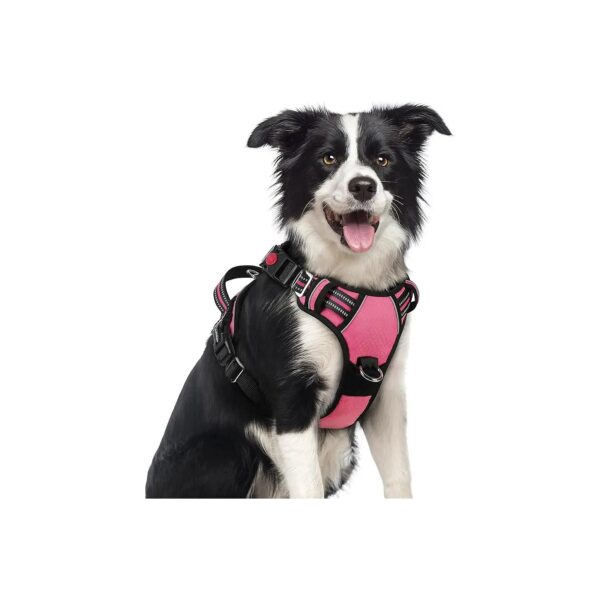 Rabbitgoo Dog Harness with Adjustable Straps and Soft Padded Chest and Neck Straps