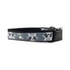 Raccoon Patterned 1 Inch Wide Adjustable Nylon Dog Collar Medium to Large