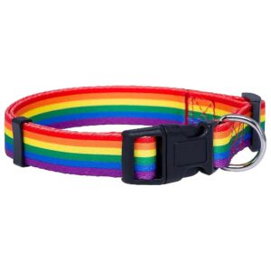 Rainbow Pride Flag Dog Collar Medium Size for Parade Equality Pet Accessories