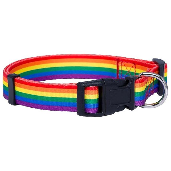 Rainbow Pride Flag Dog Collar Medium Size for Parade Equality Pet Accessories