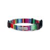 Rainbow Striped Dog Collar for Large Dogs with Vivid Pattern Boy or Girl Collars Nacho