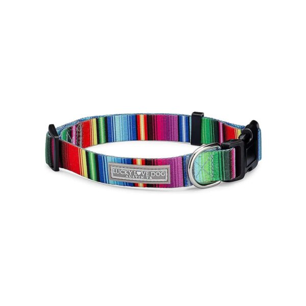 Rainbow Striped Dog Collar for Large Dogs with Vivid Pattern Boy or Girl Collars Nacho