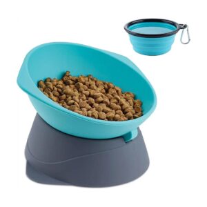 Raised Cat Food Bowls for Small Pets with Tilted Design and Anti-Vomiting Function