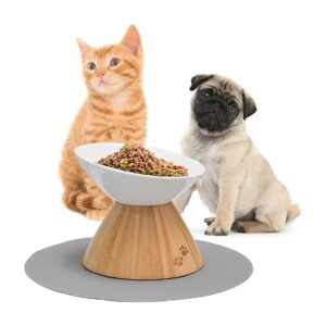 Raised Cat and Dog Bowls for Improved Digestion and Posture