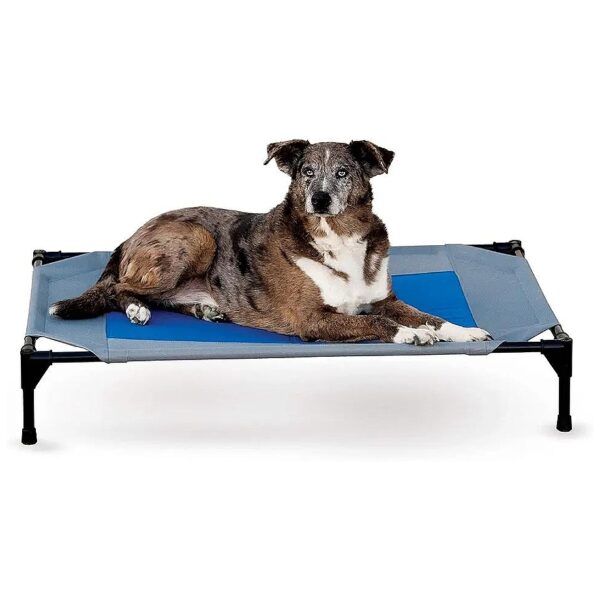 Raised Cooling Dog Bed for Large Dogs 30x42x7inches