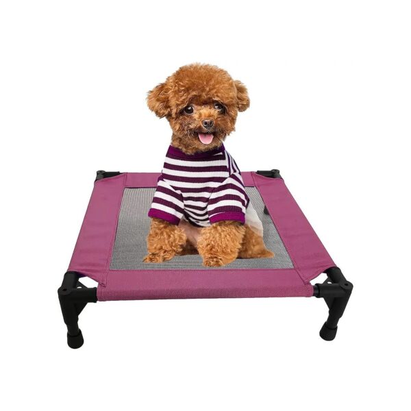 Raised Elevated Dog Bed with Breathable Black Mesh and Indoor-Outdoor Versatility